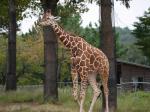 埼玉県こども動物自然公園の写真のサムネイル写真237