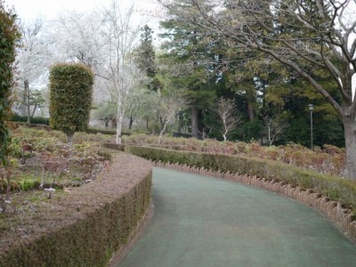 東松山ぼたん園の写真2