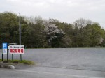 東松山ぼたん園の写真のサムネイル写真3