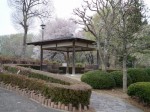 東松山ぼたん園の写真のサムネイル写真6