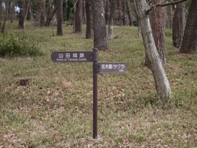 国営武蔵丘陵森林公園（南口）の写真3