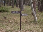 国営武蔵丘陵森林公園（南口）の写真のサムネイル写真3