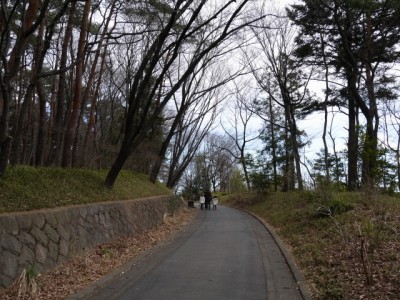 国営武蔵丘陵森林公園（南口）の写真4