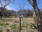 国営武蔵丘陵森林公園（南口）の写真のサムネイル写真7