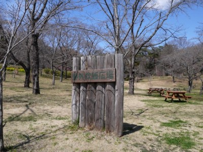 国営武蔵丘陵森林公園（南口）の写真8