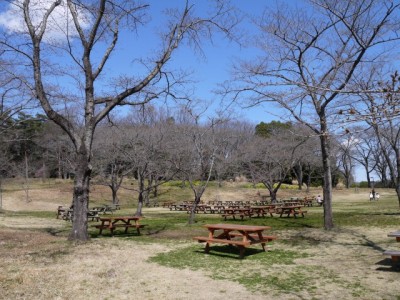 国営武蔵丘陵森林公園（南口）の写真9