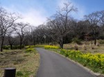 国営武蔵丘陵森林公園（南口）の写真のサムネイル写真10