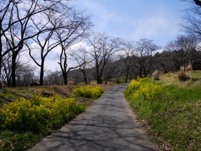 国営武蔵丘陵森林公園（南口）の写真16