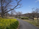 国営武蔵丘陵森林公園（南口）の写真のサムネイル写真17