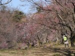 国営武蔵丘陵森林公園（南口）の写真のサムネイル写真18