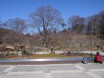 国営武蔵丘陵森林公園（南口）の写真のサムネイル写真24