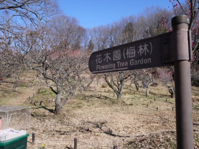 国営武蔵丘陵森林公園（南口）の写真25