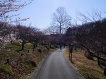 国営武蔵丘陵森林公園（南口）の写真のサムネイル写真33