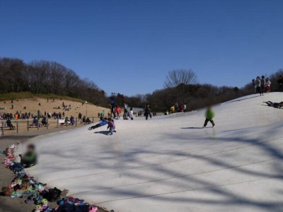 国営武蔵丘陵森林公園（南口）の写真34