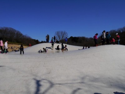 国営武蔵丘陵森林公園（南口）の写真35