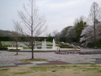 国営武蔵丘陵森林公園（中央口）の写真