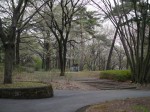 国営武蔵丘陵森林公園（中央口）の写真のサムネイル写真11