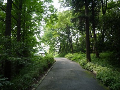 国営武蔵丘陵森林公園（西口）の写真3