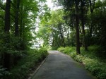 国営武蔵丘陵森林公園（西口）の写真のサムネイル写真3