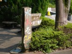 国営武蔵丘陵森林公園（西口）の写真のサムネイル写真13