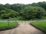 国営武蔵丘陵森林公園（西口）の写真のサムネイル写真18