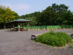 国営武蔵丘陵森林公園（西口）の写真のサムネイル写真21