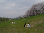 吉見百穴の写真のサムネイル写真3