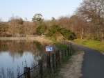 八丁湖公園の写真のサムネイル写真6