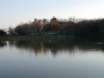 八丁湖公園の写真のサムネイル写真11