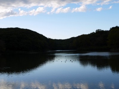 八丁湖公園の写真