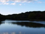 八丁湖公園の写真のサムネイル写真2