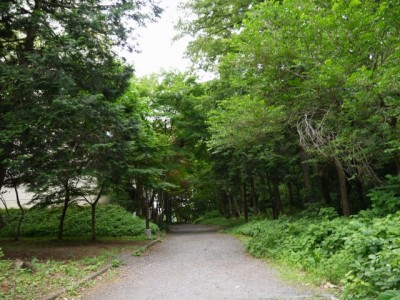 狭山市智光山公園の写真