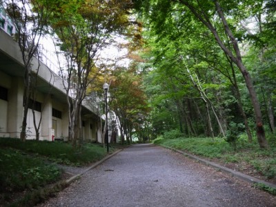 狭山市智光山公園の写真2