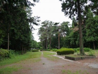 狭山市智光山公園の写真5