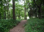 狭山市智光山公園の写真のサムネイル写真7