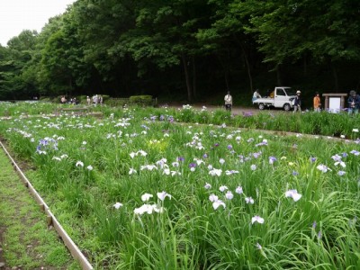 狭山市智光山公園の写真8