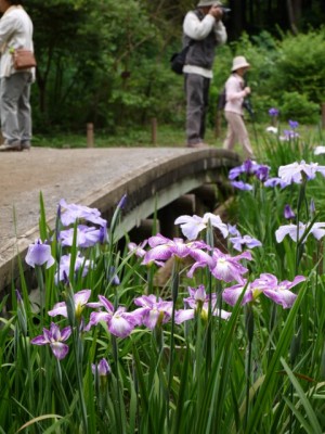 狭山市智光山公園の写真11