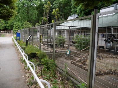 狭山市智光山公園こども動物園の写真