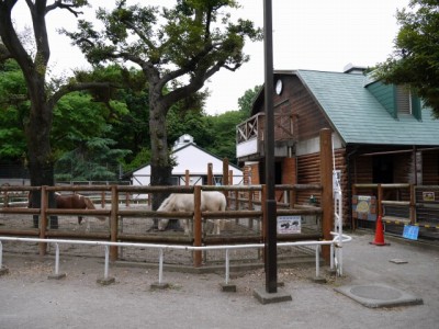 狭山市智光山公園こども動物園の写真2
