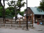 狭山市智光山公園こども動物園の写真のサムネイル写真2