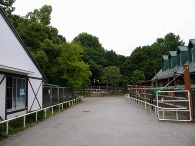 狭山市智光山公園こども動物園の写真4