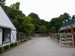 狭山市智光山公園こども動物園の写真のサムネイル写真4