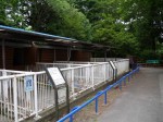 狭山市智光山公園こども動物園の写真のサムネイル写真20