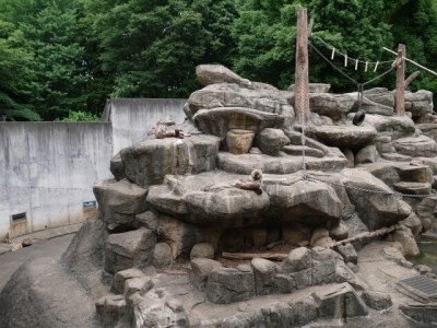 狭山市智光山公園こども動物園の写真24