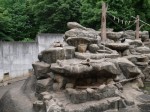 狭山市智光山公園こども動物園の写真のサムネイル写真24