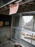 狭山市智光山公園こども動物園の写真のサムネイル写真26