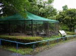 狭山市智光山公園こども動物園の写真のサムネイル写真27