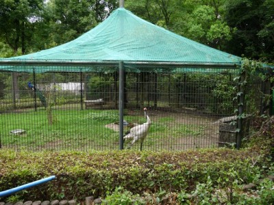 狭山市智光山公園こども動物園の写真28