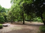 狭山市智光山公園こども動物園の写真のサムネイル写真30