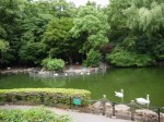 狭山市智光山公園こども動物園の写真のサムネイル写真32